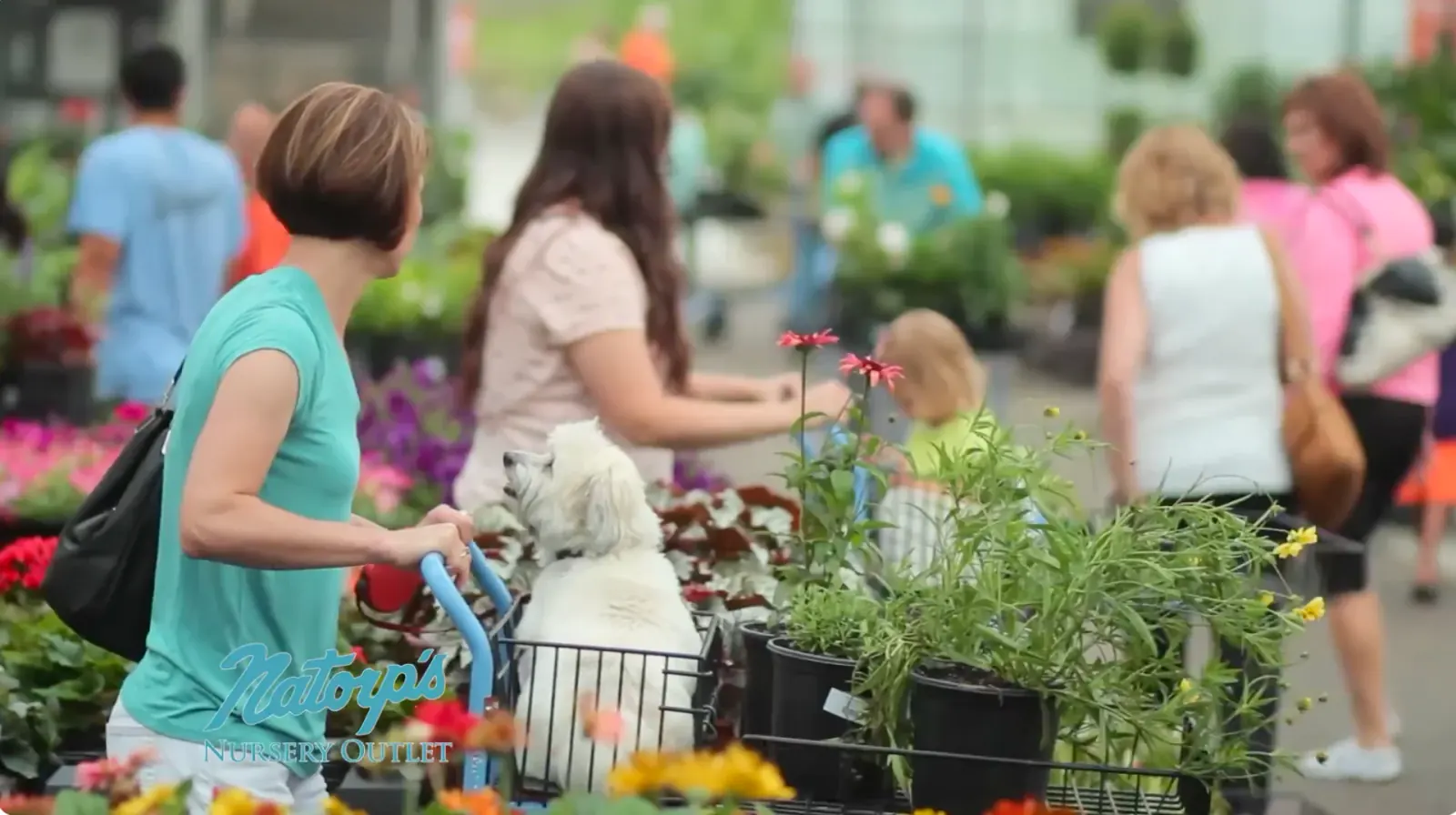Customers shopping for plants at Natorp’s