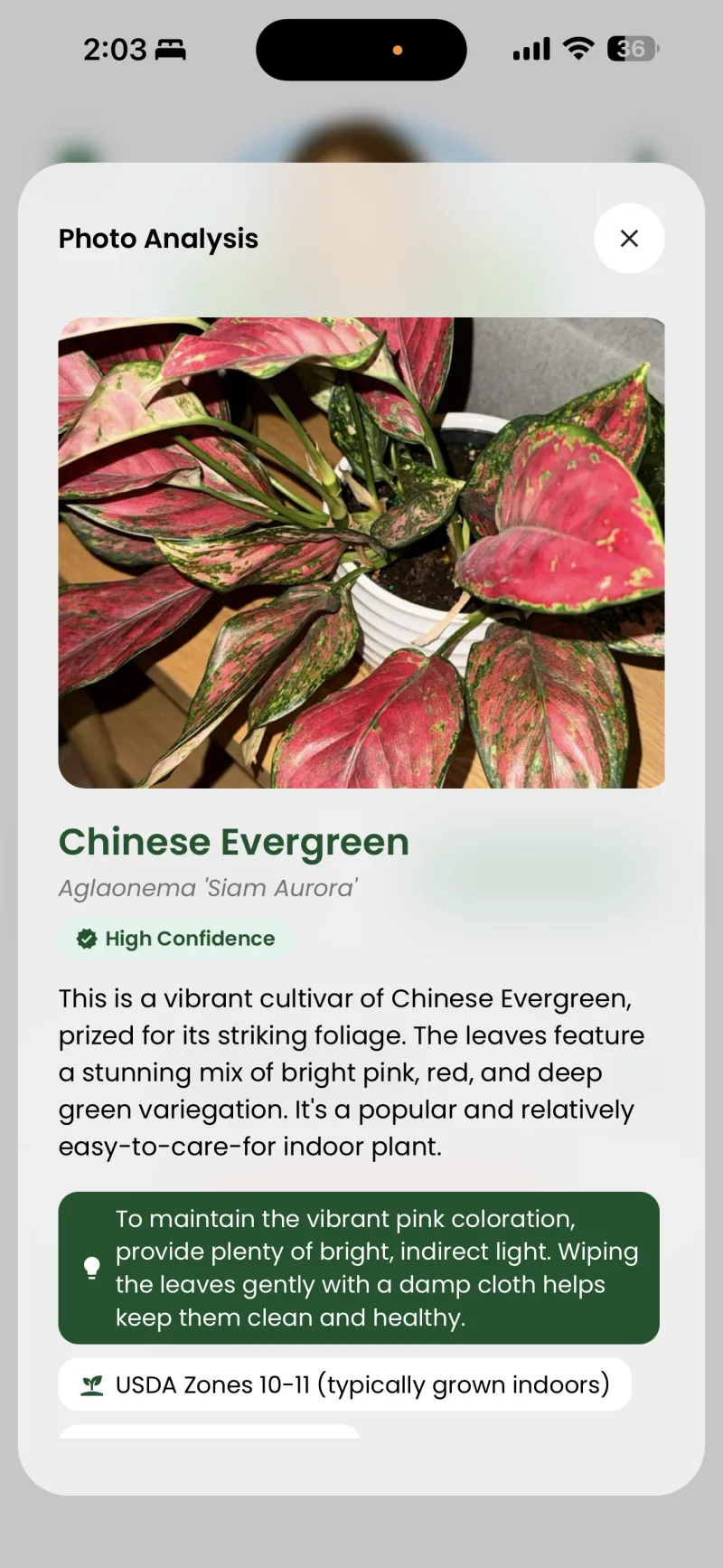 GardenSage plant identification screen