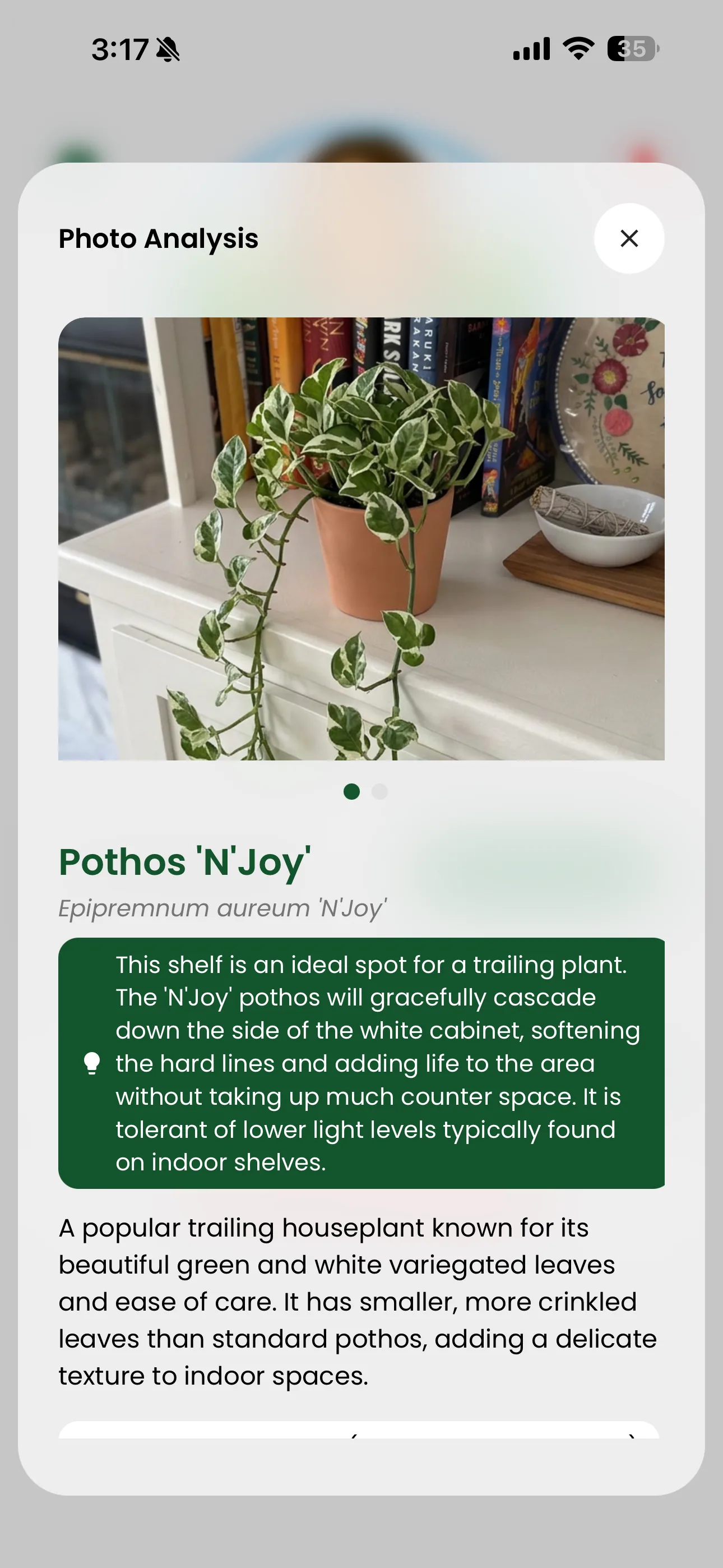 GardenSage plant recommendations screen