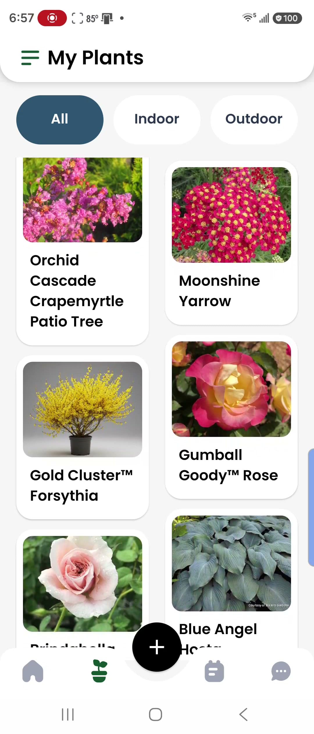 Your plants, all together