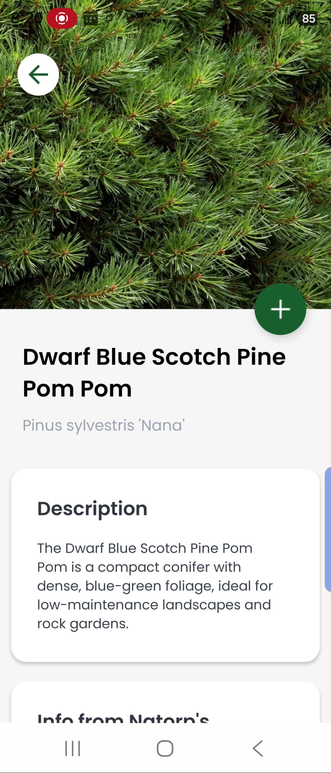 GardenSage voice guidance app screen