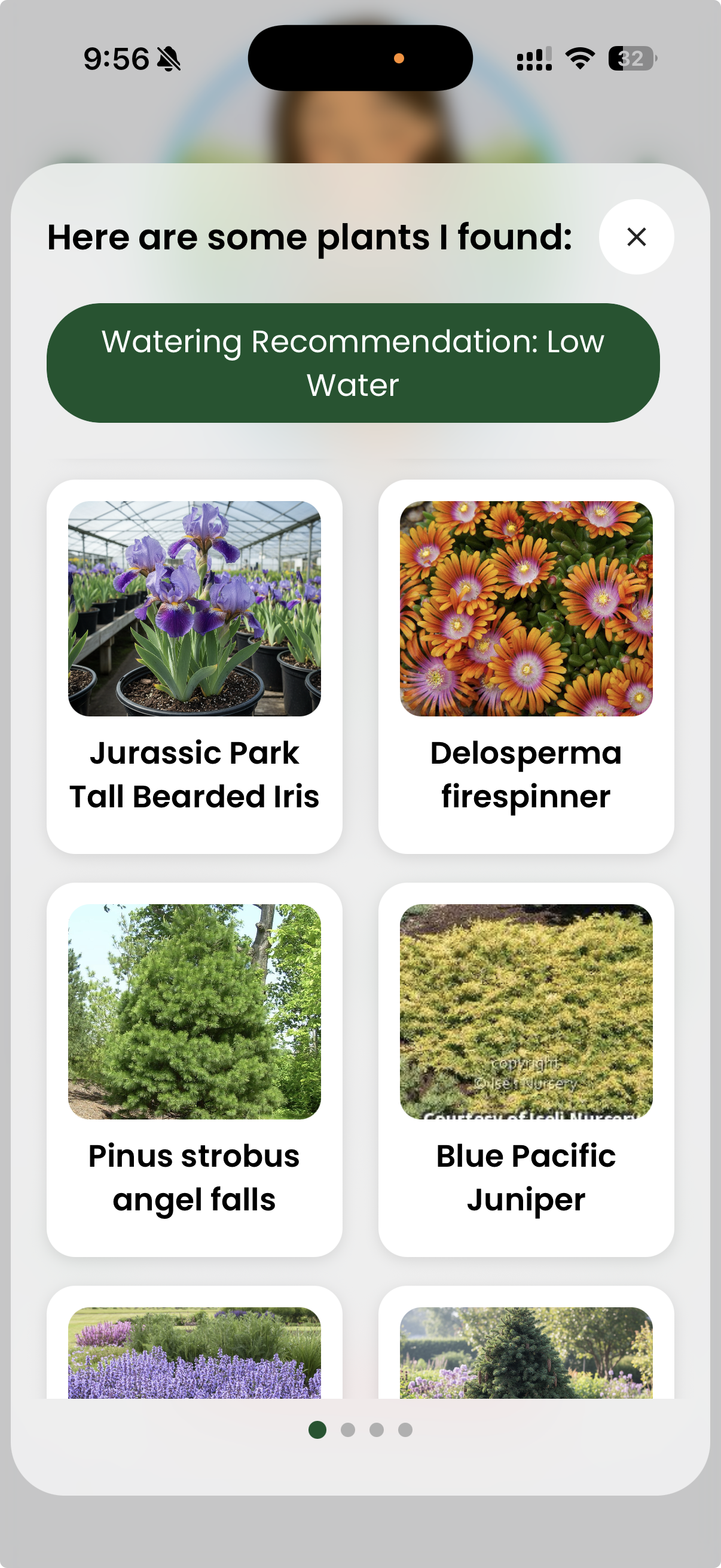 Watering: Low Water recommendations