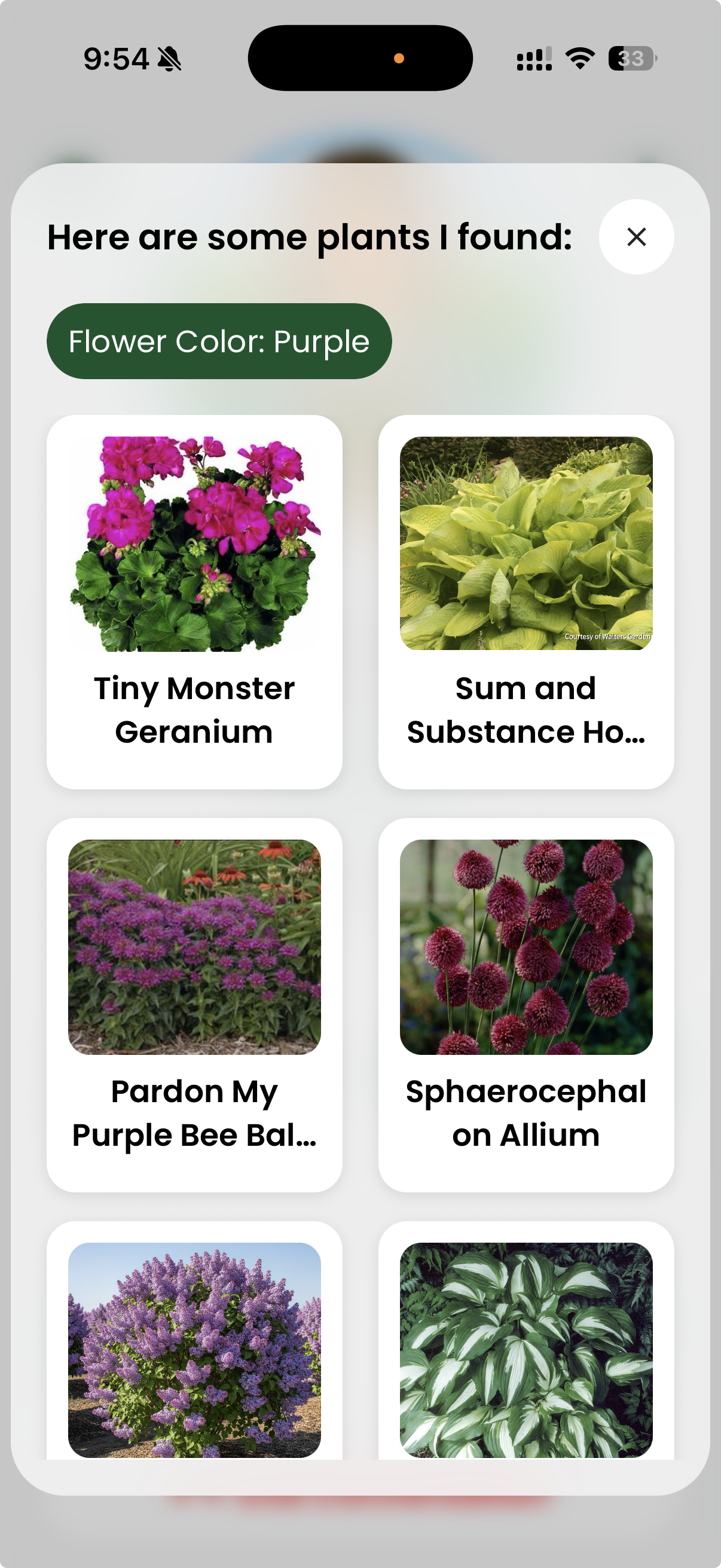 Flower Color: Purple recommendations