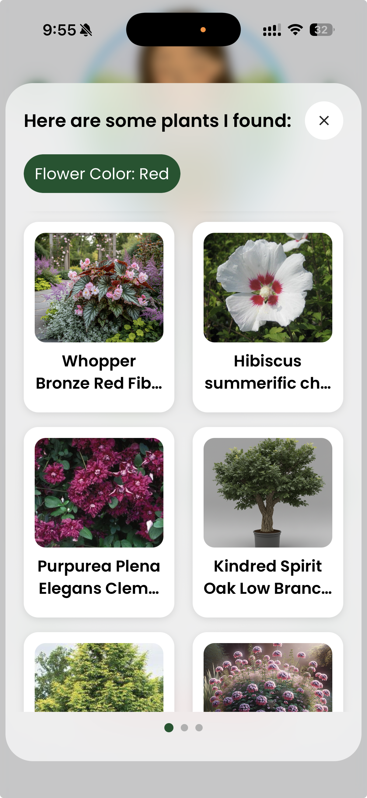 Flower Color: Red recommendations