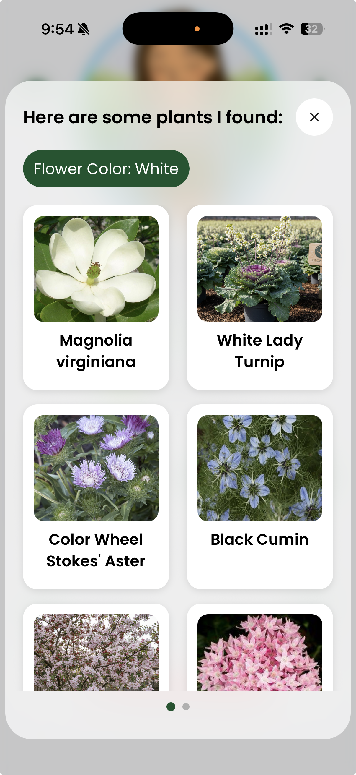 Flower Color: White recommendations