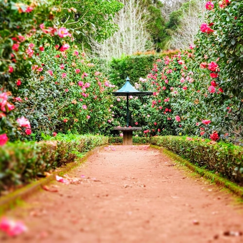 #PeopleWithPlants post 3