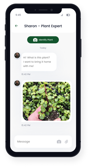 Product Recommendations