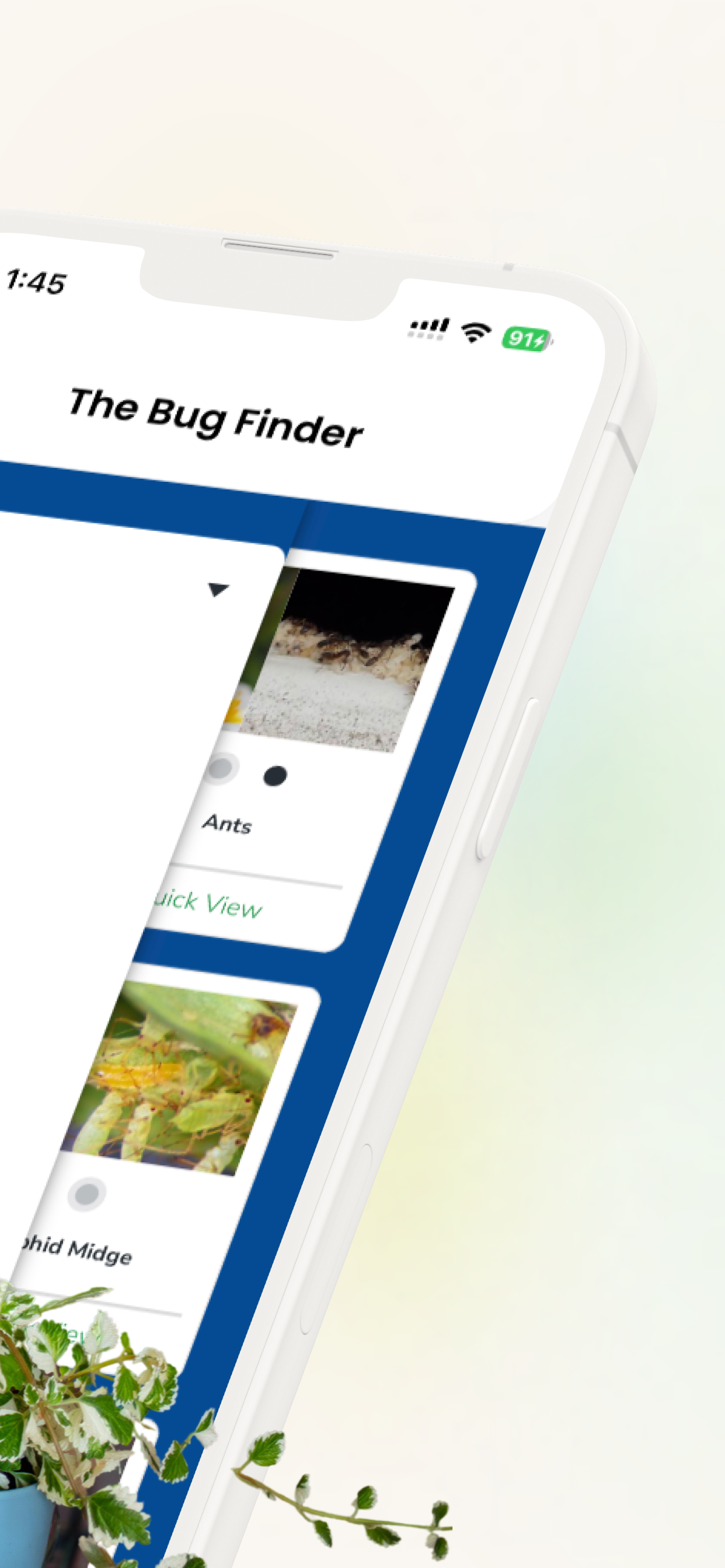 App Feature 3