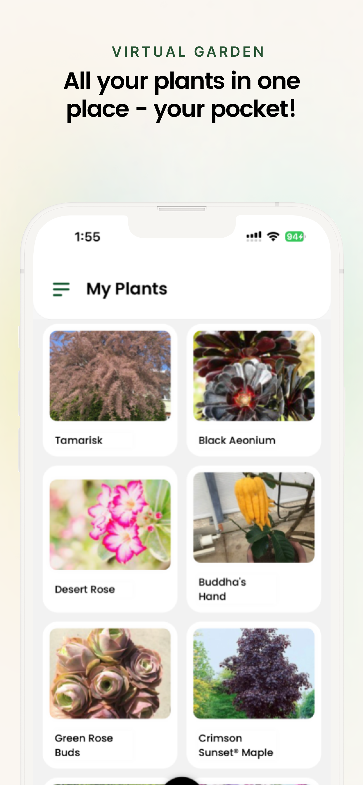 App Feature 5