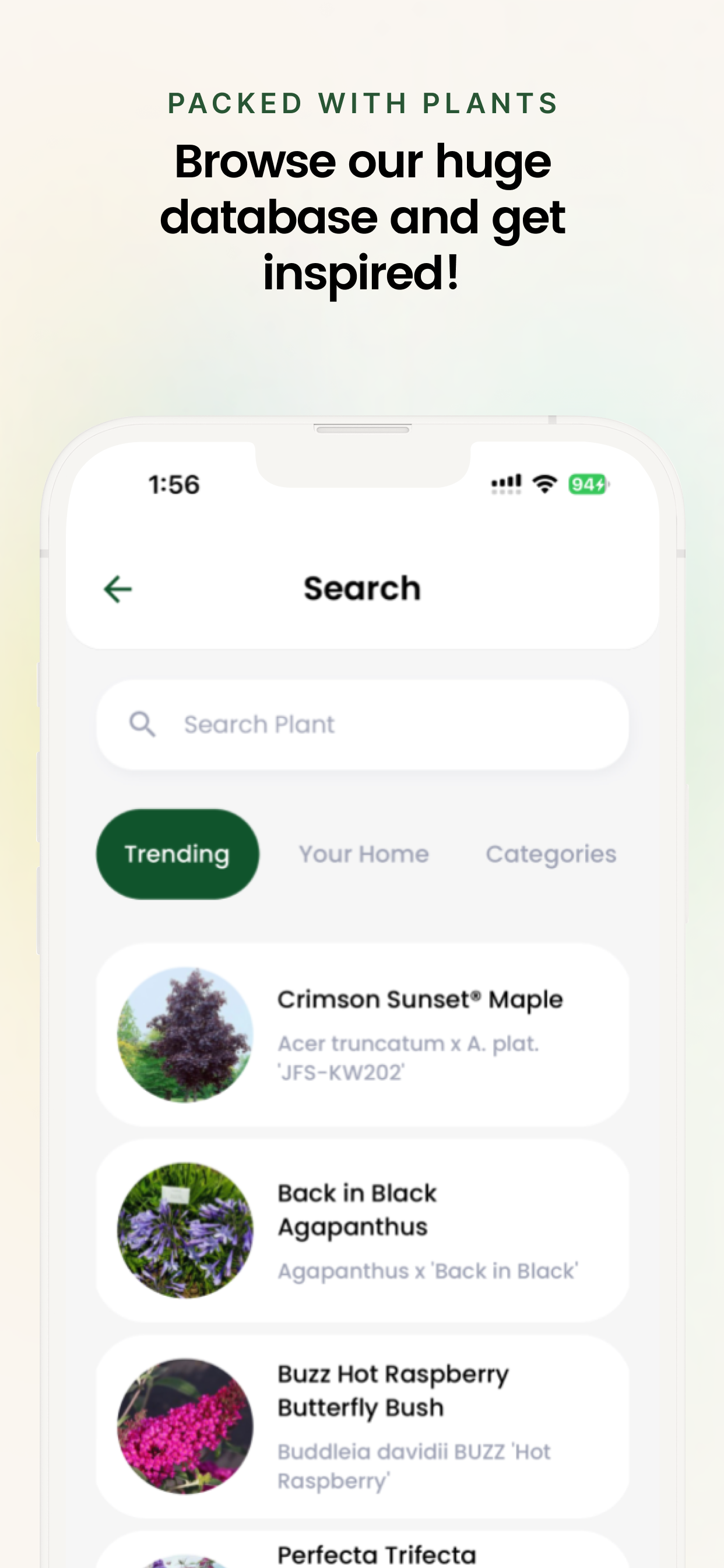 App Feature 6