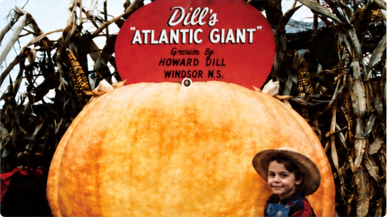 An enormous Atlantic Giant pumpkin displayed beside a child.
