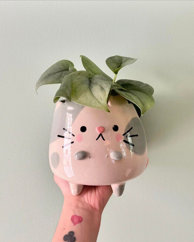 This pot is the cat's meow! 🐱 ⁠
⁠
What's the puuurfect plant to put in here? ⁠
⁠
📷: @hiruhito⁠
⁠
#catpottery #cutepot #potsandplants #crazyplantpeople #plantdiary #catlover #catsandplants #plantsandcats #houseplantsofinstagram⁠ #ihavethisthingforplants⁠