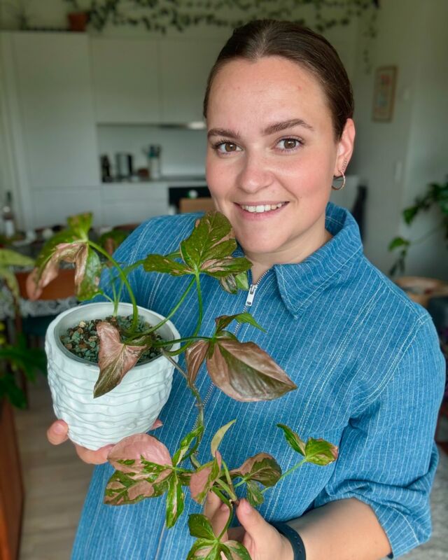 How did your first plant impact you? 🌱“My very first plant was a Euphorbia Trigona, given to me by a family member around 15 years ago 🌵 Although I no longer have that exact plant, its legacy lives on in the family, as we’ve kept its lineage going.About 3.5 years ago, I was lucky enough to get a cutting from it again. This “grandchild” Euphorbia has grown so much since then and holds a lot of sentimental value for me. 🙏🏼That cactus sparked my love for plants, but during Covid, when times were tough, plants became more than just a hobby 🌱 I dove deeper into collecting, and along the way, I discovered how much joy I got from sharing my plants on Instagram.Connecting with others who shared the same passion brought me so much happiness. Now, I’m grateful to be part of an incredible plant community here on Instagram, and my home has grown into a thriving green space with over 100 plants 💚If you love plants and want to start your own green journey, just begin with one plant that speaks to you. Soon enough, you may find that bringing a little bit of nature indoors brings a lot of joy and calm—just like it did for me 🌱”-Catherine
📸: @escapewith.plants
📍Skovlunde, Denmark#peoplewithplants #plantparent #plantparenthood #plantlover #ihavethisthingwithplants #plantsmakepeoplehappy #houseplantclub #houseplantdiary #livingwithplants #crazyplantpeople #plantparentcommunity #plantdiary #plantfluencer #plantgang