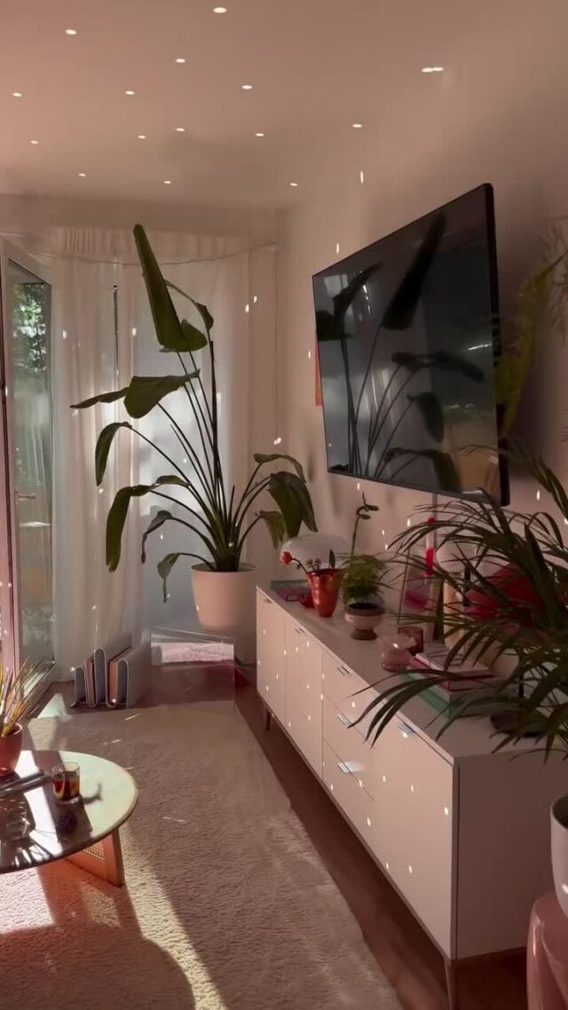 Disco ball +golden hour = the perfect living room ✨☀️ ⁠
⁠
📸: @interiorsari⁠
⁠
#goldenhourvibes #cozycorners #homeaesthetic #indoorplantlove #warmtones #interiorwithplants⁠ #discoball ⁠