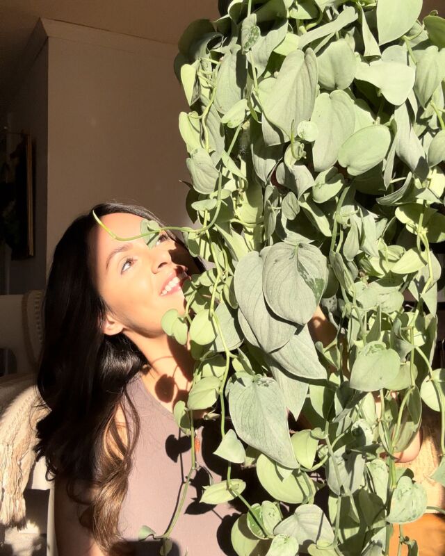 How does your connection to plants nurture you? 🫶“My story with plants is deeply rooted in family and the memories they created for me. Growing up, I was surrounded by a vibrant love for nature, shaped by my mother’s Costa Rican roots and the spirit of Pura Vida—a way of life that celebrates simplicity, natural beauty, and a deep connection to the earth.My father poured his heart into our garden, filling it with herbs, vegetables, and a wild tapestry of flowers, while my mother turned our home into a lush haven, filling every corner with greenery.Together, they created a space that embodied the spirit of living fully and harmoniously with nature. 🌿As I grew older and life became busier, I found myself longing for that grounding connection to nature. Discovering Biophilic design felt like reconnecting with a piece of my soul I’d forgotten.What began with a few plants soon grew into a journey of creativity, where I built living walls and experimented with designs that brought nature into my home in ways that felt nurturing. ✨Now, I often see my children captivated by the plants in their rooms or drawn outside to sit quietly, listening to the birds or feeling the gentle breeze.They’re able to be present, fully absorbing the beauty around them, and in those moments, I feel joy, knowing that this connection to nature is alive and thriving in them. My hope is that by telling my story, I can inspire others to find their way back to nature and create spaces that nurture the soul. 🤗”-J Marie
📸: @Jmarie_lifestyle
📍Connecticut